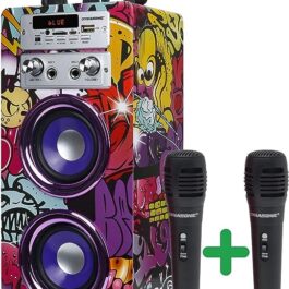 Cassa Bluetooth portatile Karaoke